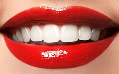 老湿最好看的视频